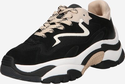 ASH Sneaker 'ADDICT' in beige / schwarz / eierschale, Produktansicht
