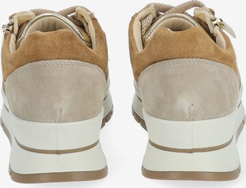 IGI&CO Sneakers laag in Beige