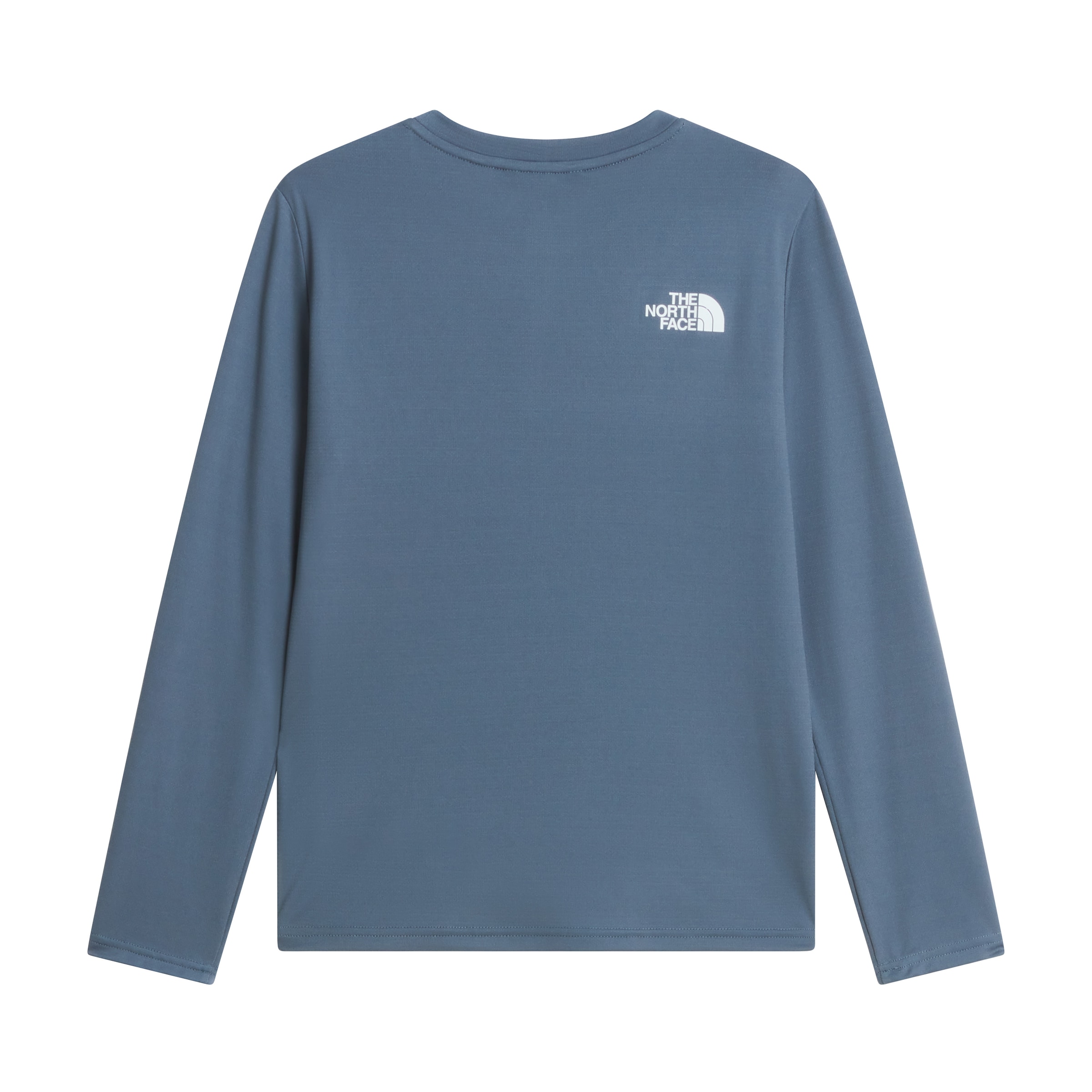 THE NORTH FACE Performance Shirt in Blue: front