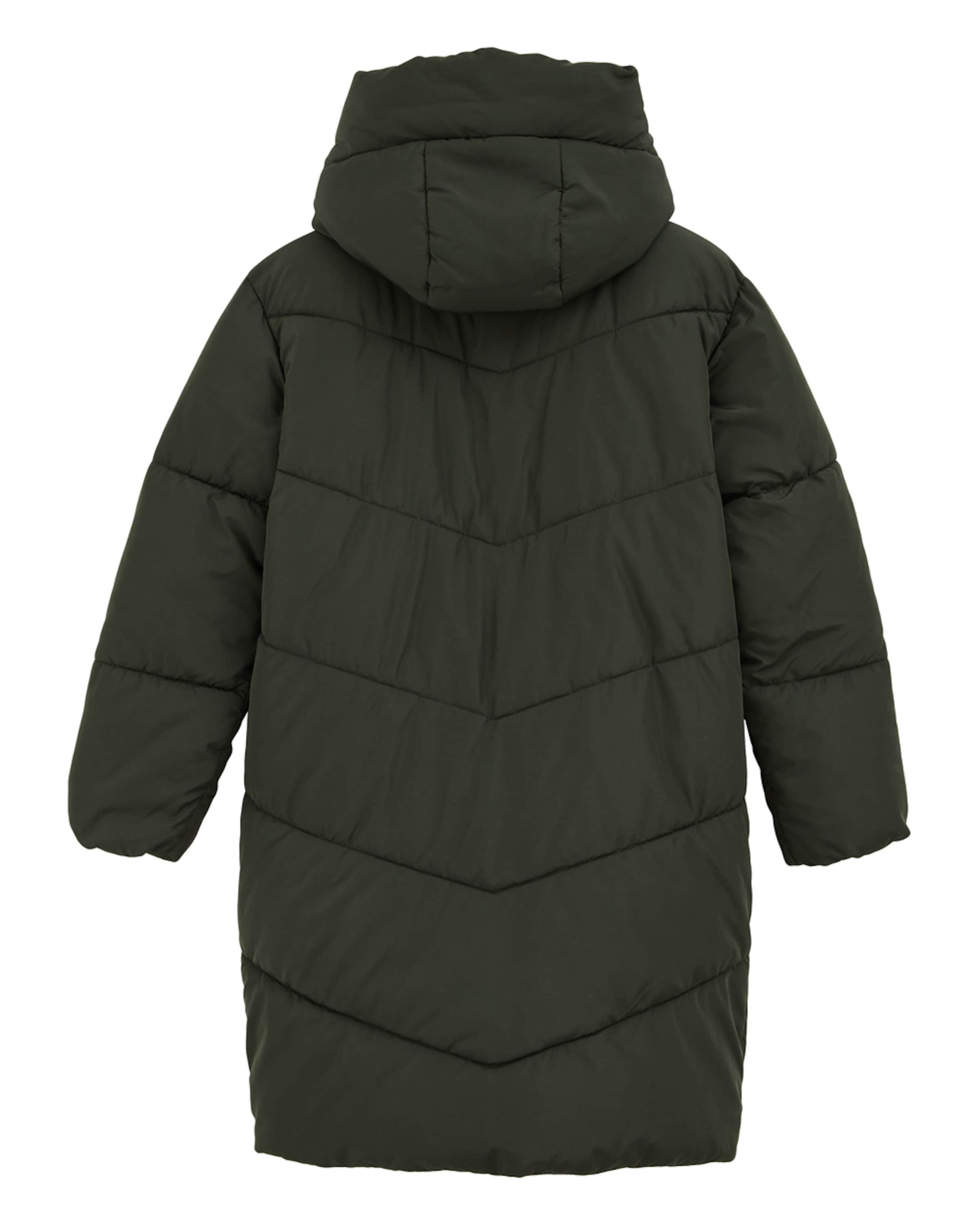 WE Fashion Демисезонная куртка в Зеленый