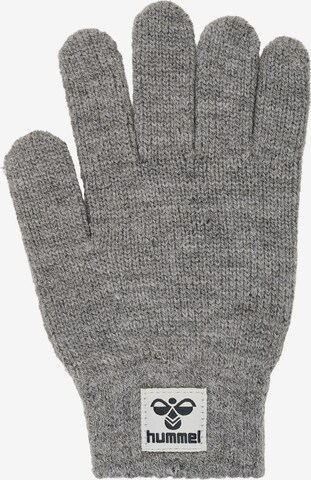 Hummel Gloves in Grey