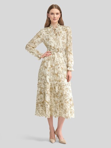 LapaPlus Kleid in Braun: Vorderseite