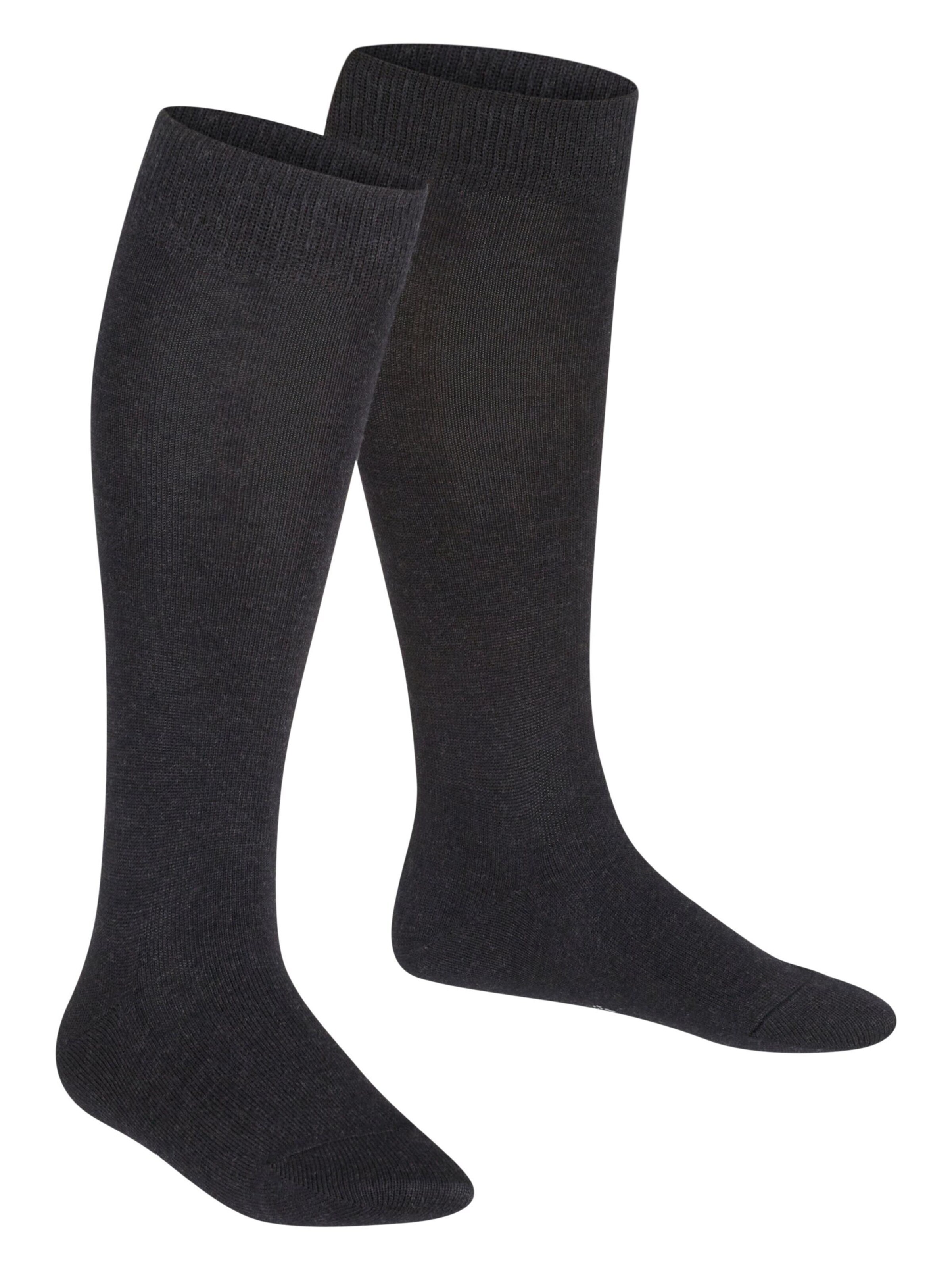 FALKE Socks 'Family' in Grey: front