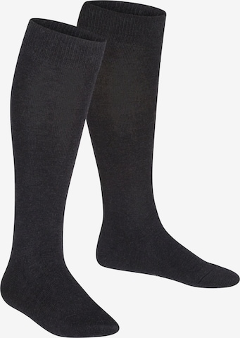 FALKE Socks 'Family' in Grey: front