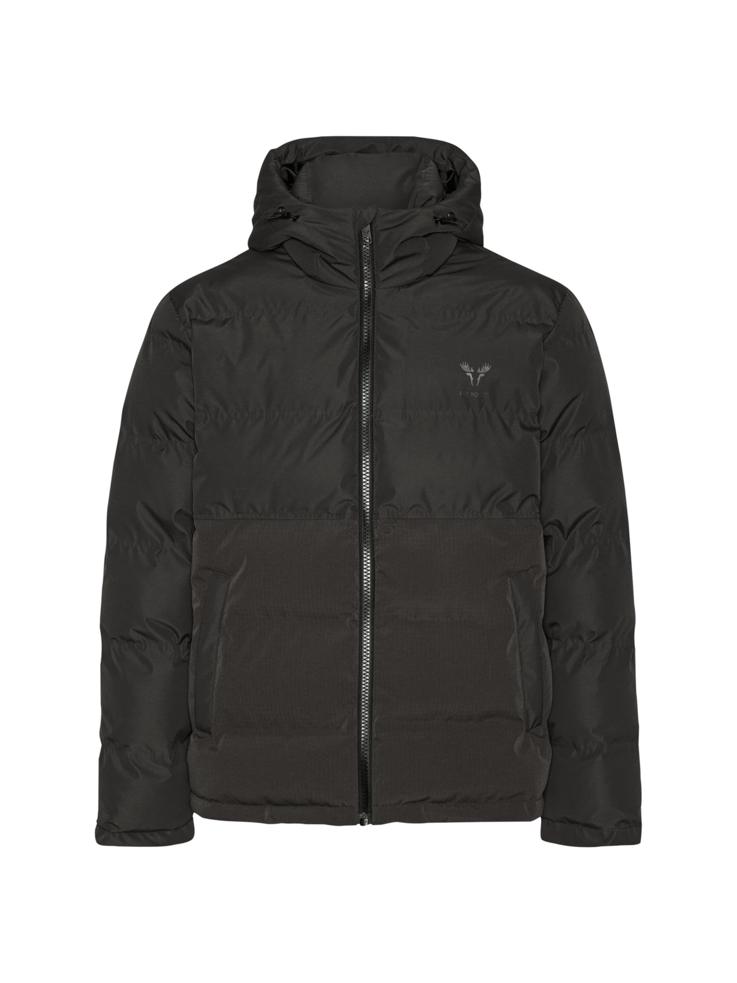 Fat Moose Winter jacket 'Birk ' in Green: front