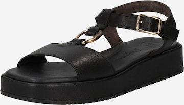 Paul Green Sandals in Black: front