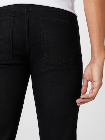 Zadig & Voltaire regular Jeans 'STEEVE' i sort