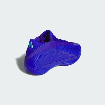 ADIDAS PERFORMANCE Sportschoen 'Anthony Edwards 2' in Blauw