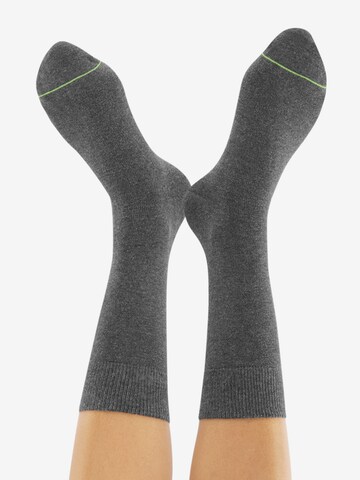 Chaussettes 'Best Friend' CHEERIO* en gris