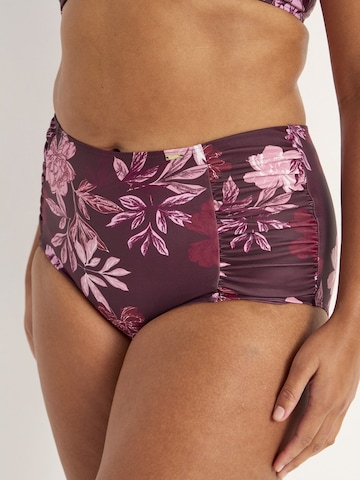 Cellbes of Sweden Bikinihose in Lila: Vorderseite