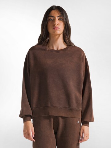 Sweat-shirt DEHA en marron : devant