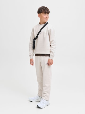 Felpa 'JJESOHO' di Jack & Jones Junior in grigio