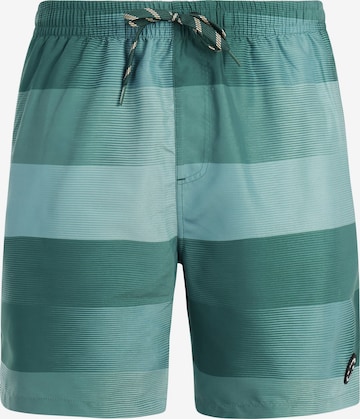 PROTEST Badeshorts 'PRTLomond' in Grün: Vorderseite