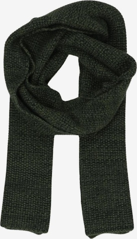 SELECTED Schal oder Tuch One Size in Grün: Vorderseite