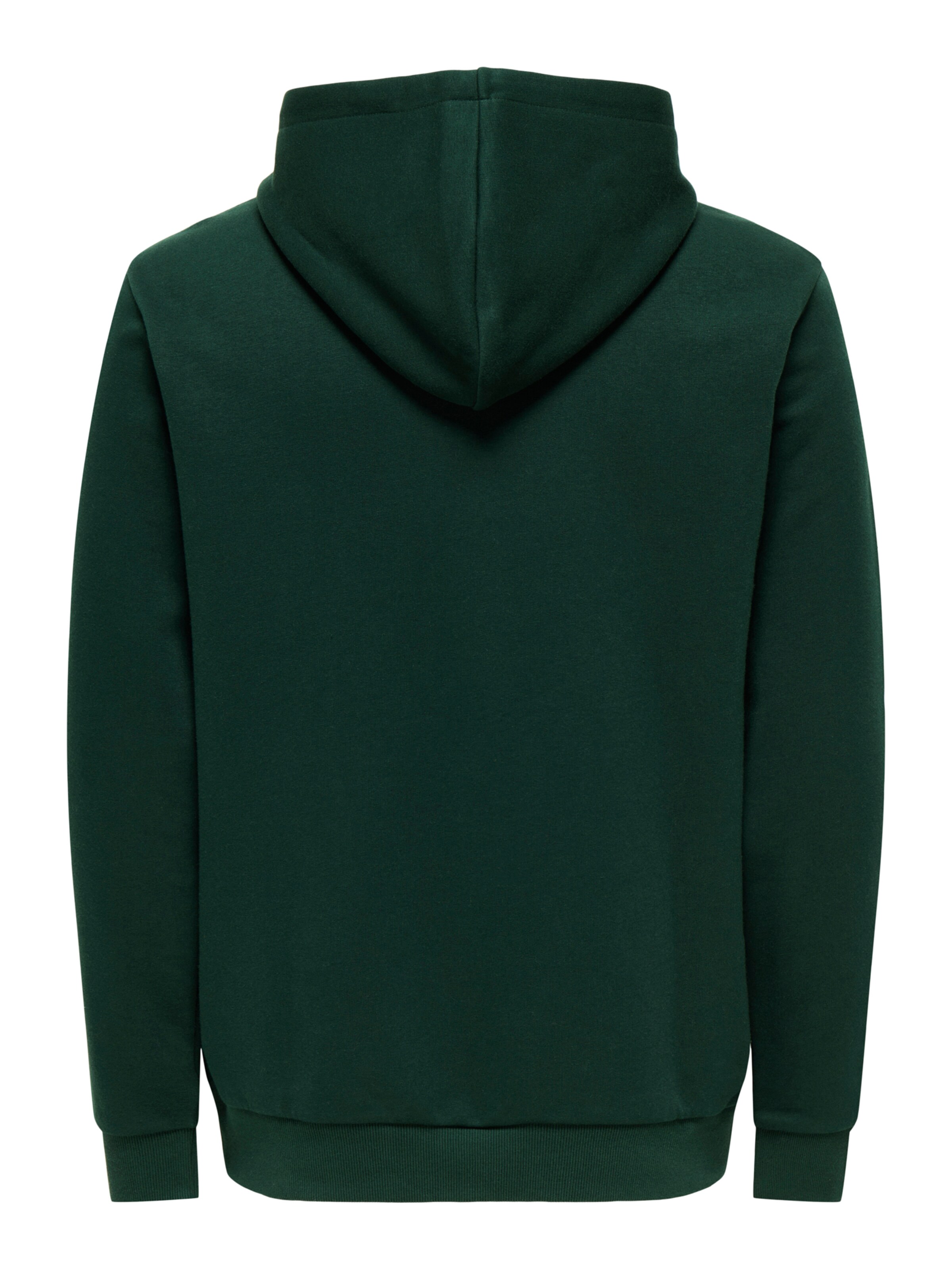 Only & Sons Regular Fit Sweatshirts 'ONSCeres' in Grün