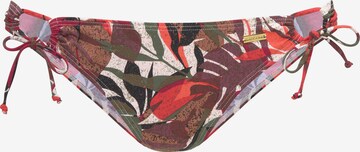 LASCANA Bikini Bottoms in Brown: front