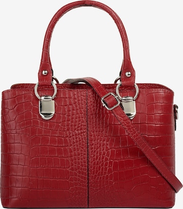 Cluty Crossbody Bag in Red: front