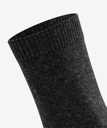 FALKE Socks 'Cosy Wool' in Grey