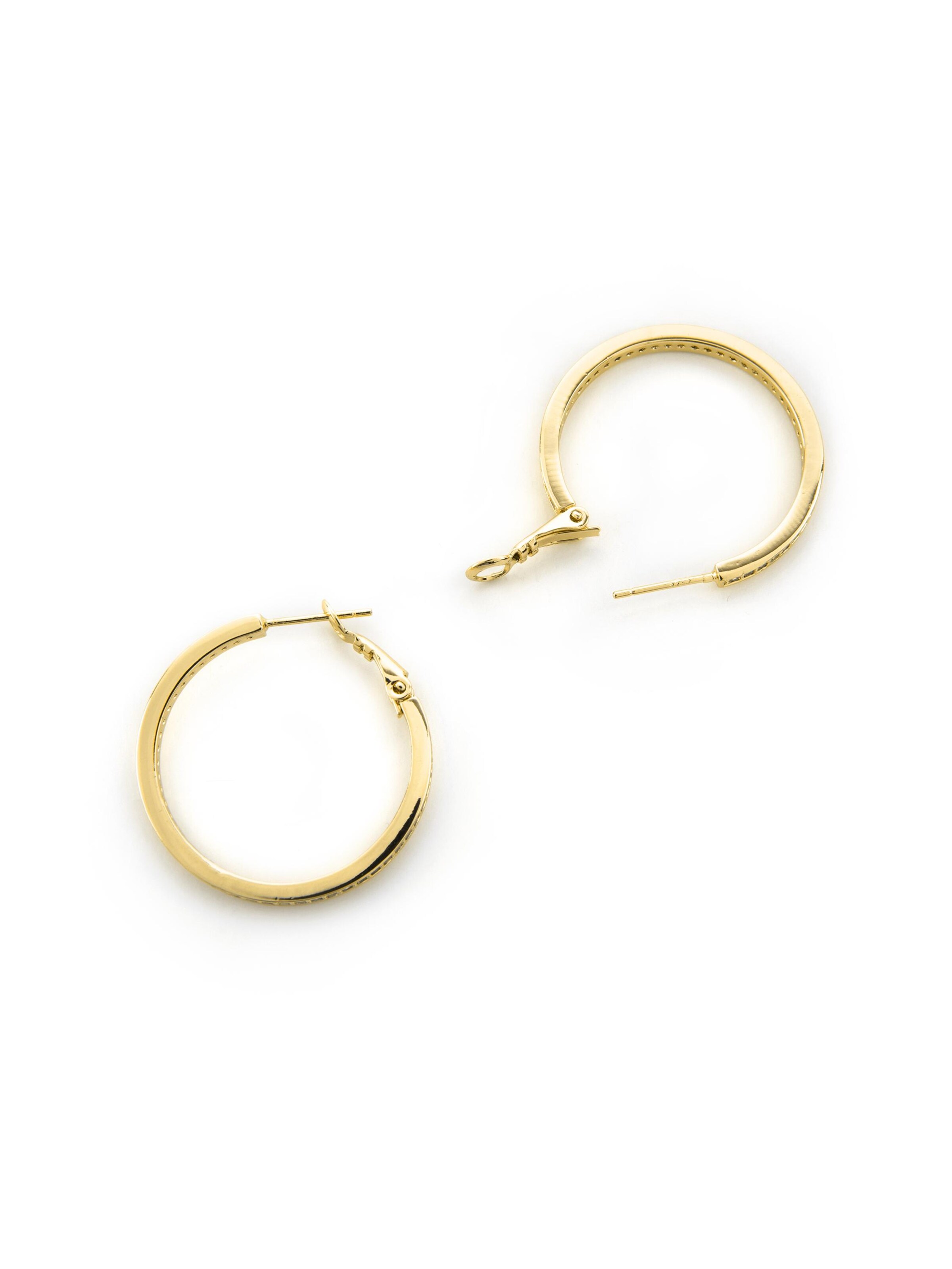 Luxenter Oorbellen 'Budix' in Goud