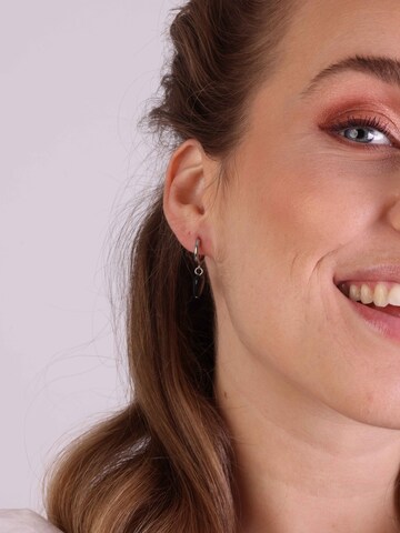 Lucardi Earrings in Silver: front