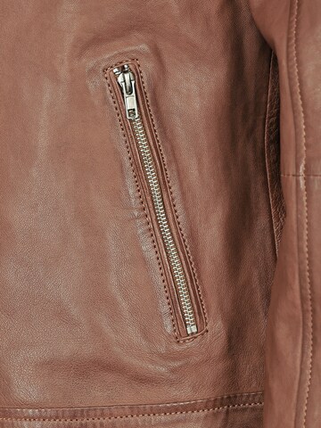 JCC Tussenjas in Bruin