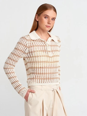 DilvinPulover 'Pullover' - miks boja boja: prednji dio