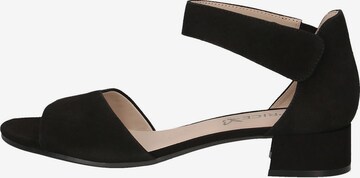 CAPRICE Sandals in Black