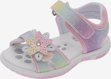 Chicco Sandaalit 'Fecola' värissä monivärinen: etupuoli