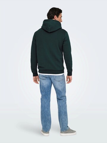 Only & Sons Regular Fit Sweatshirts 'ONSCeres' in Grün