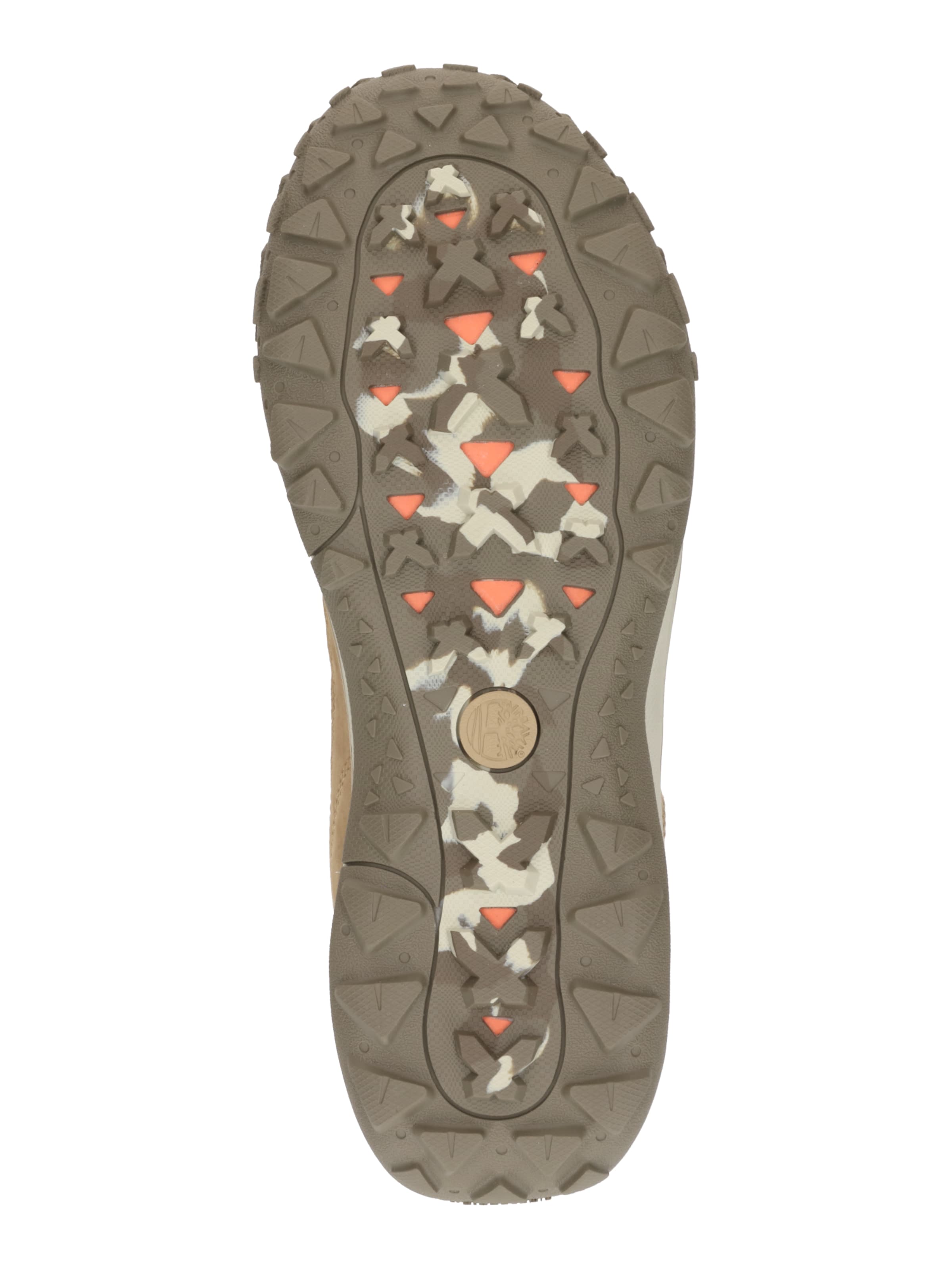 TIMBERLAND Trainers in Brown