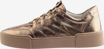 Högl Sneaker 'Connie' in Bronze: Vorderseite