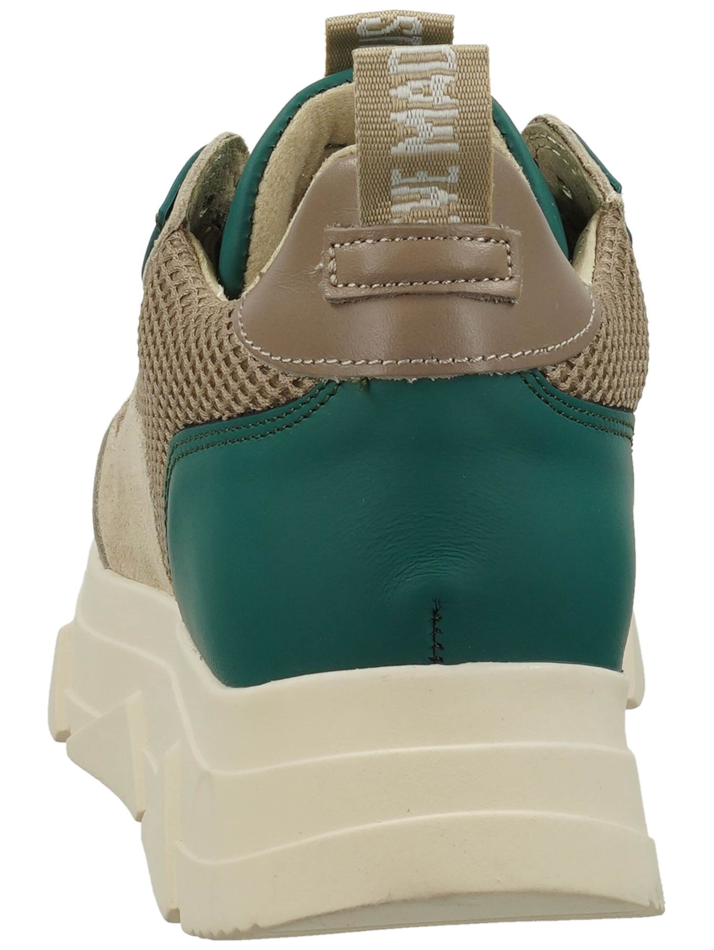 STEVE MADDEN Sneaker in Beige