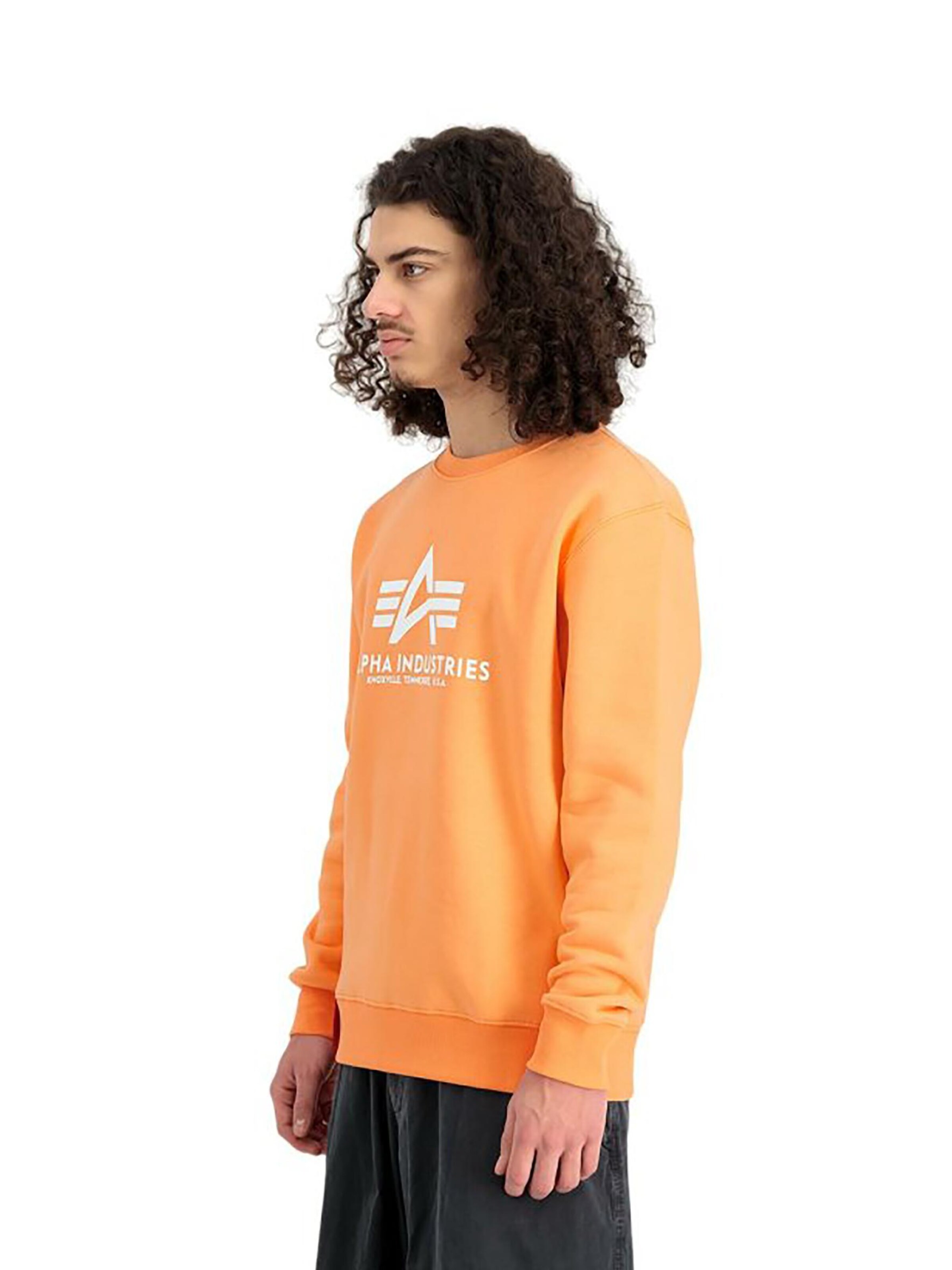 ALPHA INDUSTRIES Sweatshirt 'Basic' in Orange