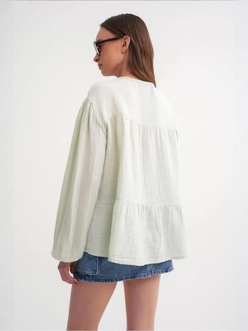 MixRay - Camisa em verde