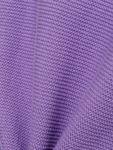 Franco Callegari Sweater in Purple