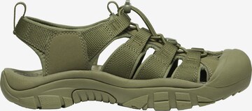 KEEN Sandals in Green