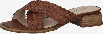 CAPRICE Mules in Brown: front