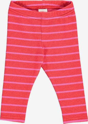 regular Leggings di Fred's World by GREEN COTTON in rosso: frontale