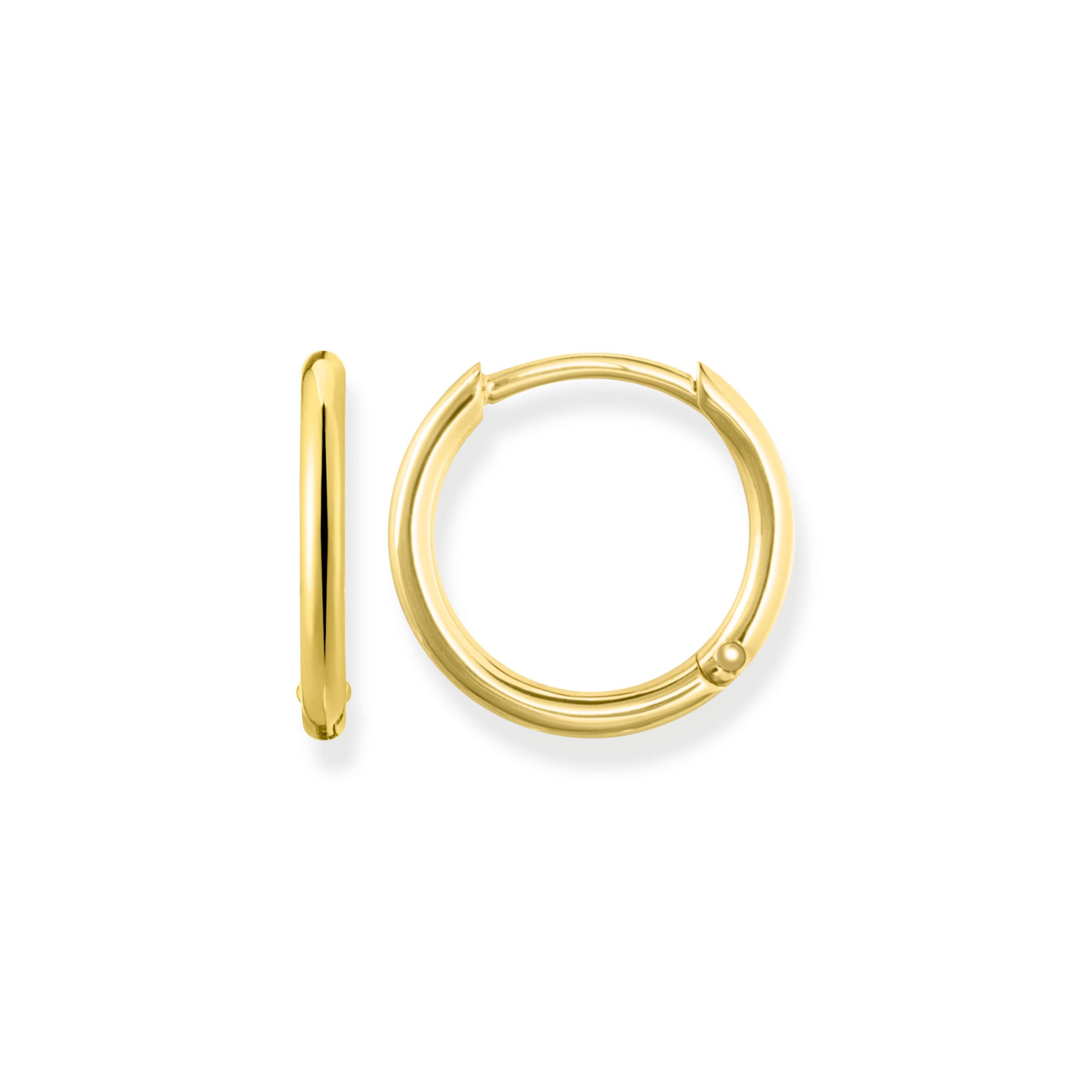 Thomas Sabo Earrings in Gold: front