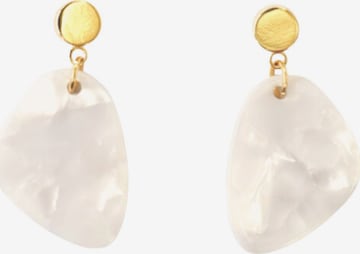 Fräulein WunderNaušnice 'Amy' - zlatna boja: prednji dio