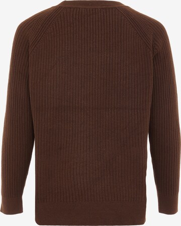 carato Sweater in Brown