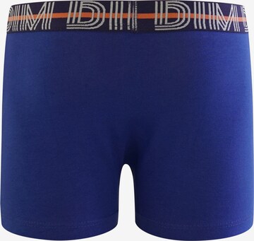 DIM Underpants in Blue