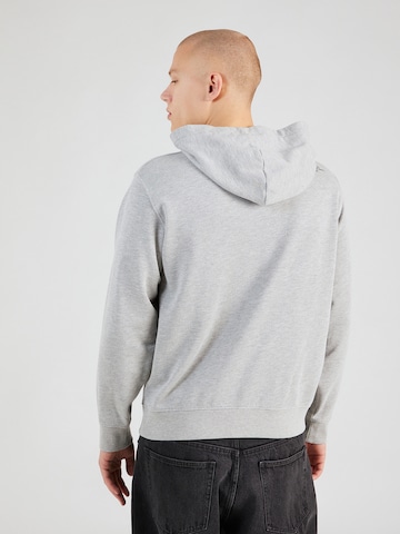 REPLAY Sweatshirt in Grey