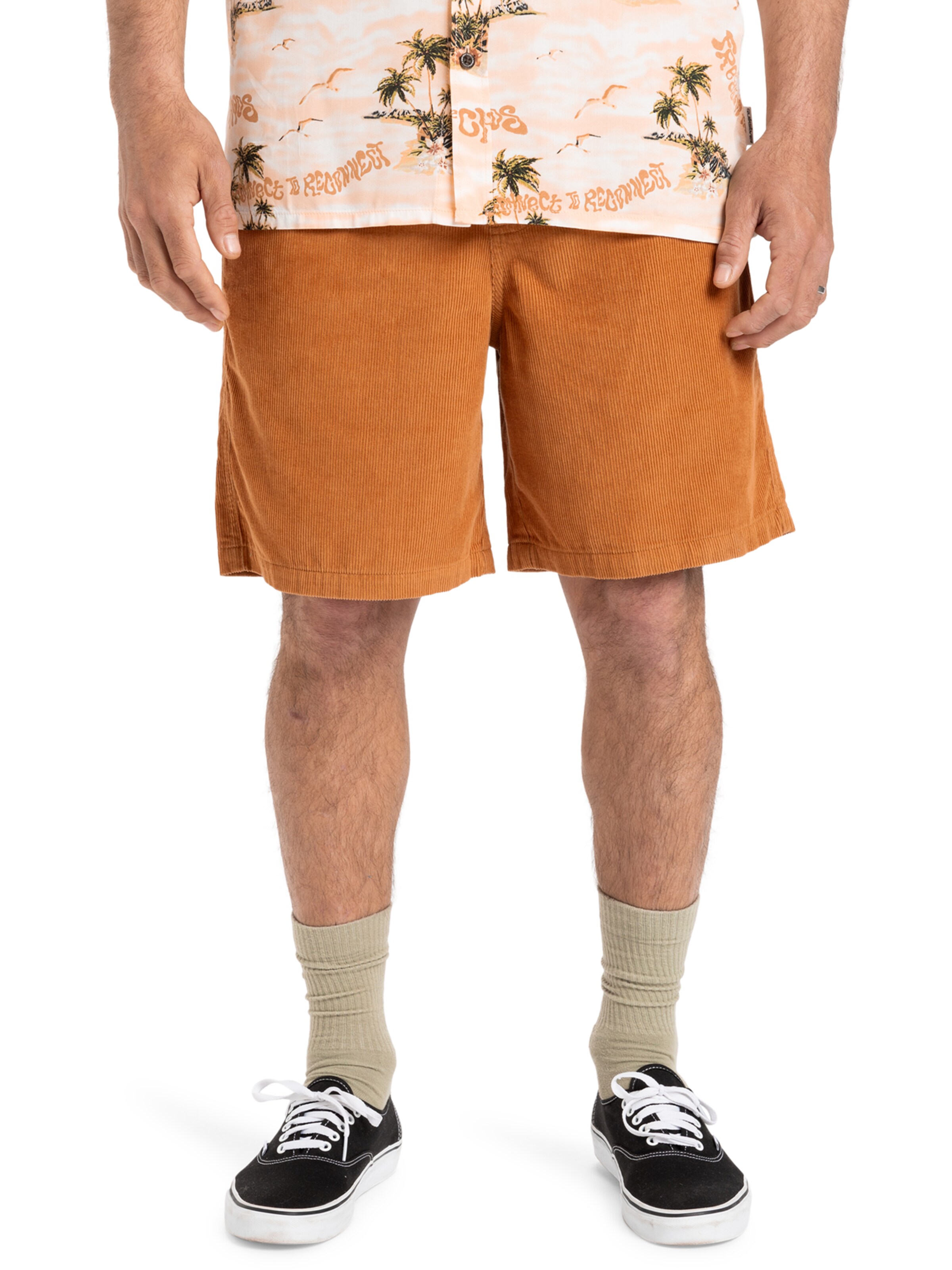 Regular Pantalon 'Taxer 18' QUIKSILVER en marron : devant