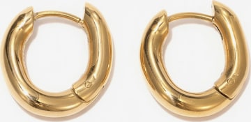 lePelou Earrings 'FLOW' in Gold: front