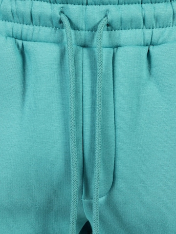 Smilodox Regular Broek in Blauw