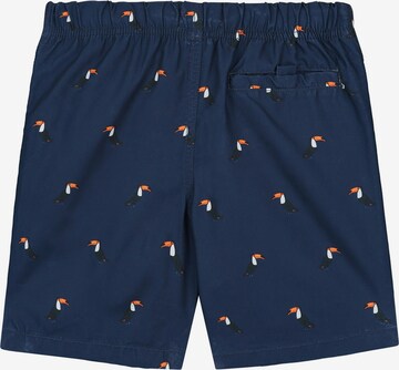 Shiwi Badeshorts 'Tucan' in Blau