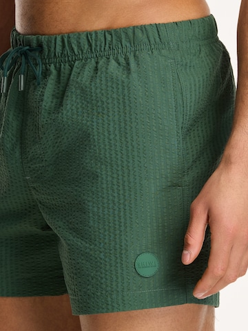 Shiwi Плавательные шорты в Зеленый