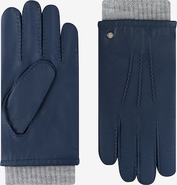 Gants 'METZ' Roeckl en bleu : devant