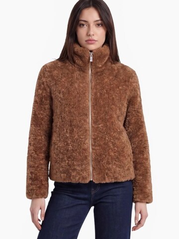 Funk since 1776 Winterjacke‌‌‌‌‌ in Braun
